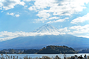 河口湖から富士を望む 河口湖から富士を望む