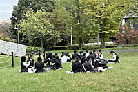 ���Z�������̌e��