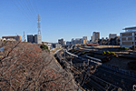 Lp(Ch)[ f=10.4mm(35mmZ28mm)