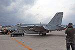 FA-18EgRoyal Macesh